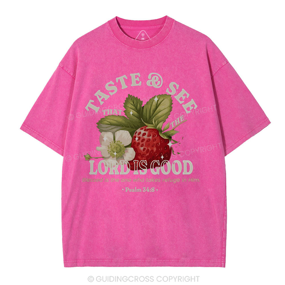 Trust And See Christian Washed T-Shirt