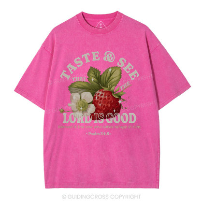 Trust And See Christian Washed T-Shirt