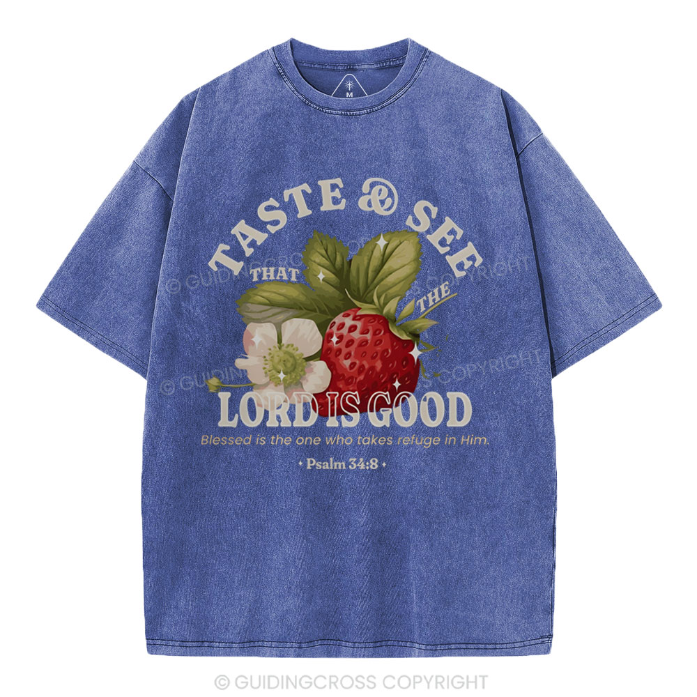 Trust And See Christian Washed T-Shirt