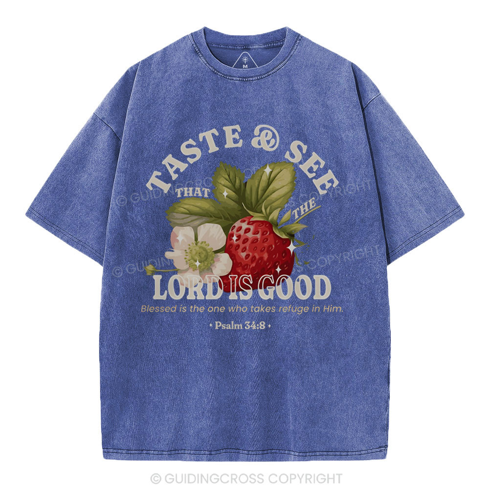 Trust And See Christian Washed T-Shirt