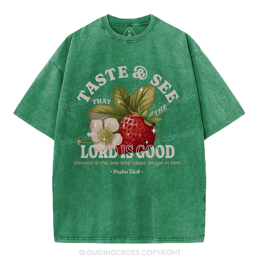 Trust And See Christian Washed T-Shirt