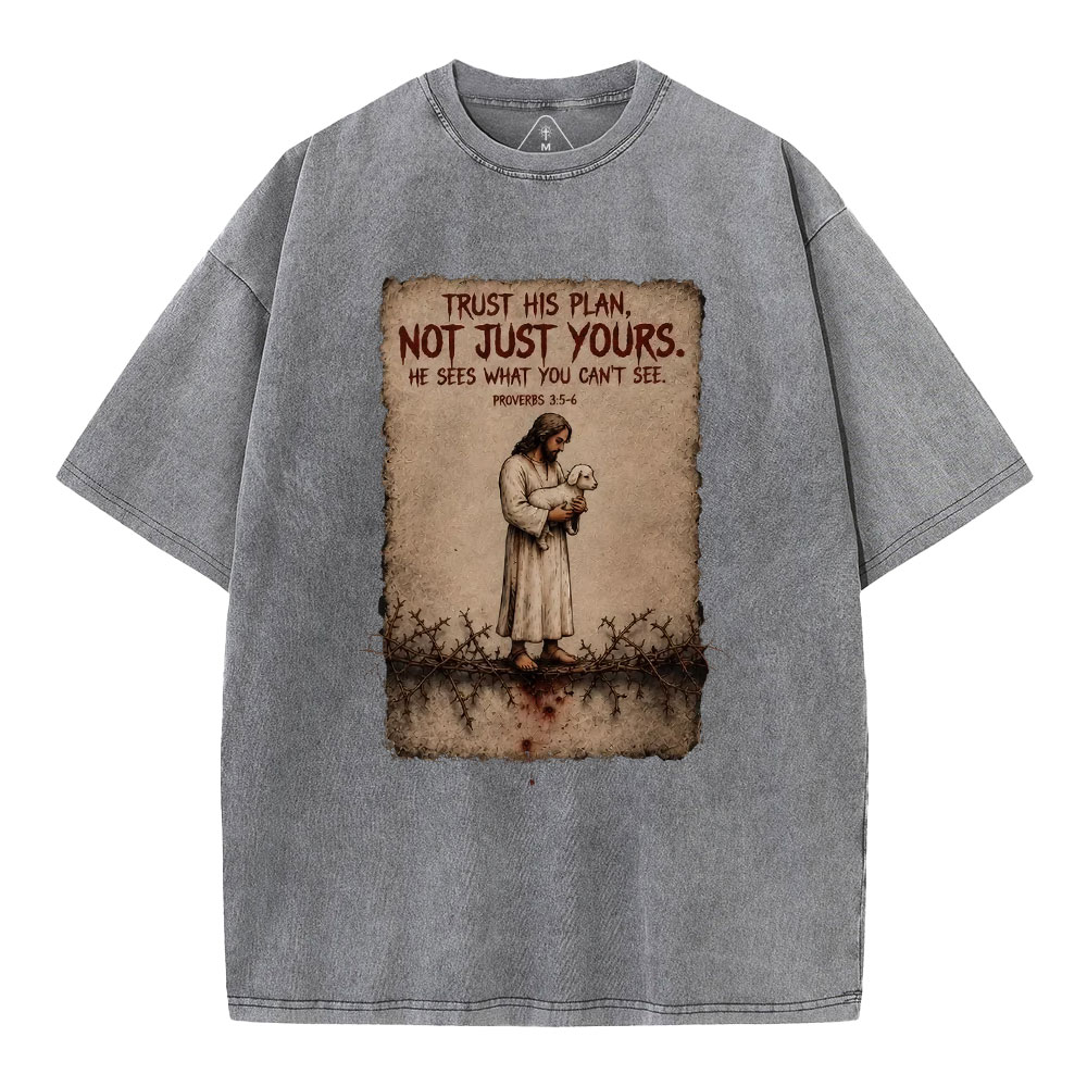 Trust His Plan Christian Washed T-Shirt