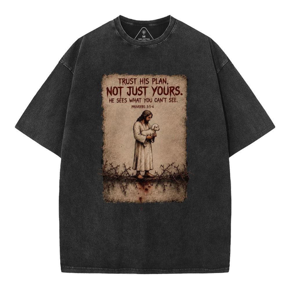 Trust His Plan Christian Washed T-Shirt