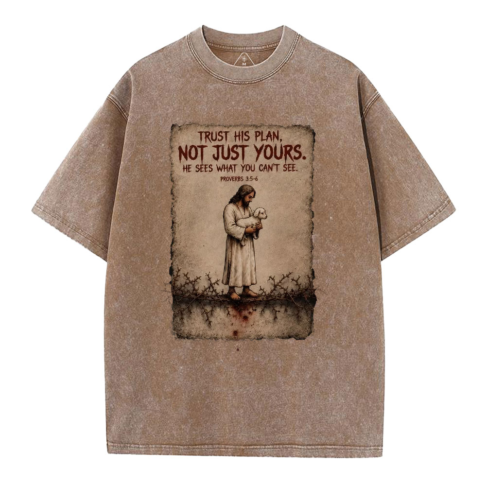Trust His Plan Christian Washed T-Shirt