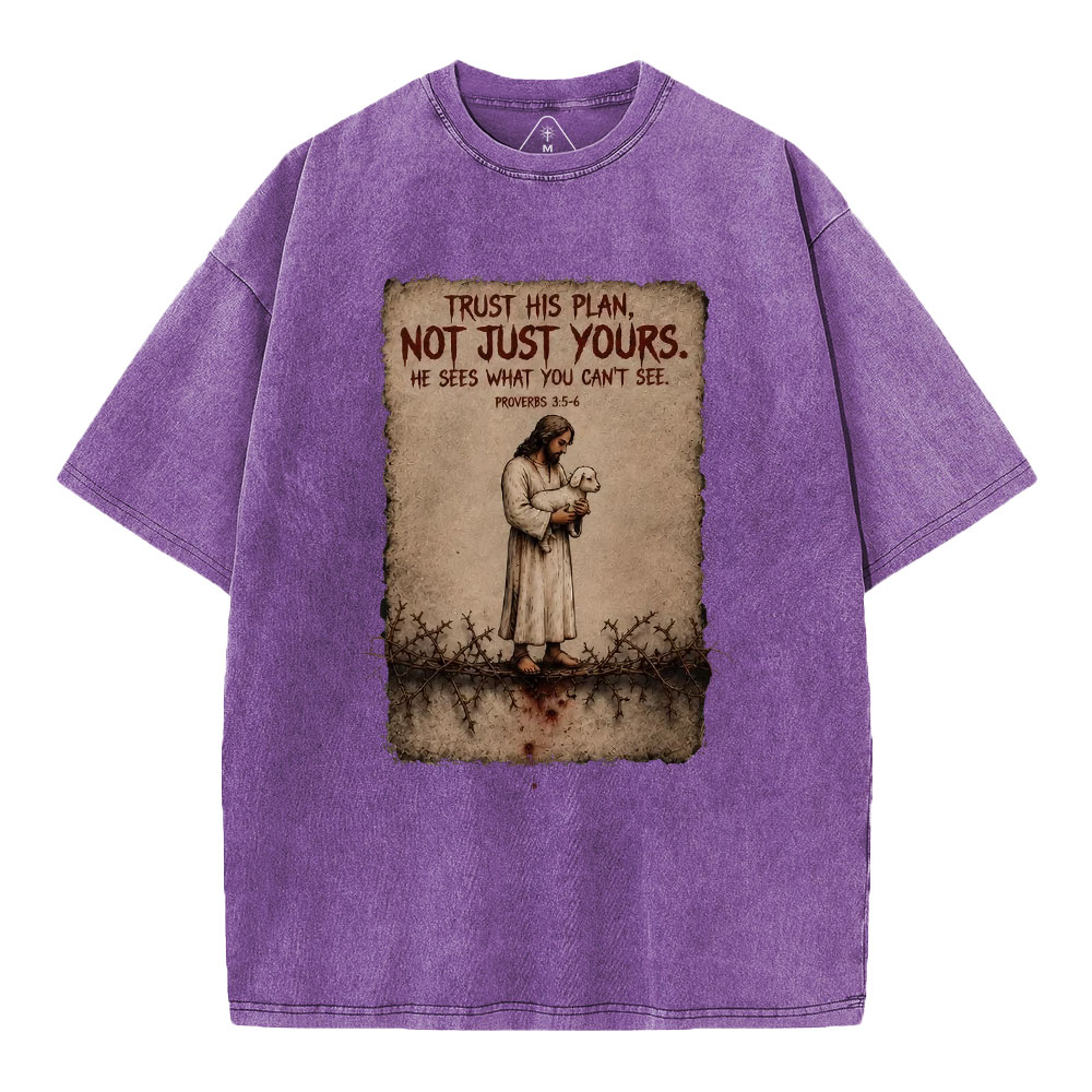 Trust His Plan Christian Washed T-Shirt