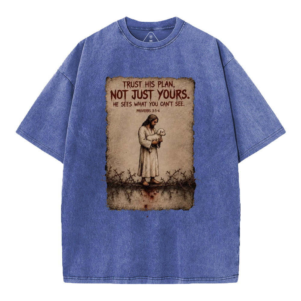 Trust His Plan Christian Washed T-Shirt