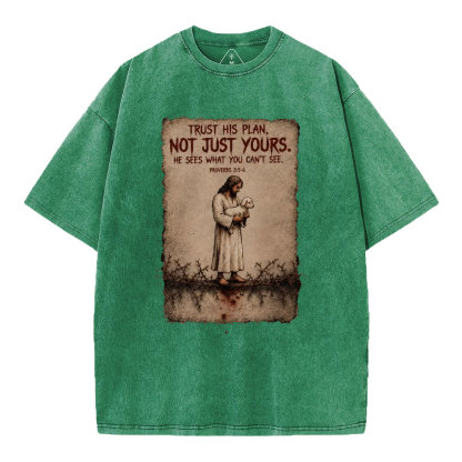 Trust His Plan Christian Washed T-Shirt