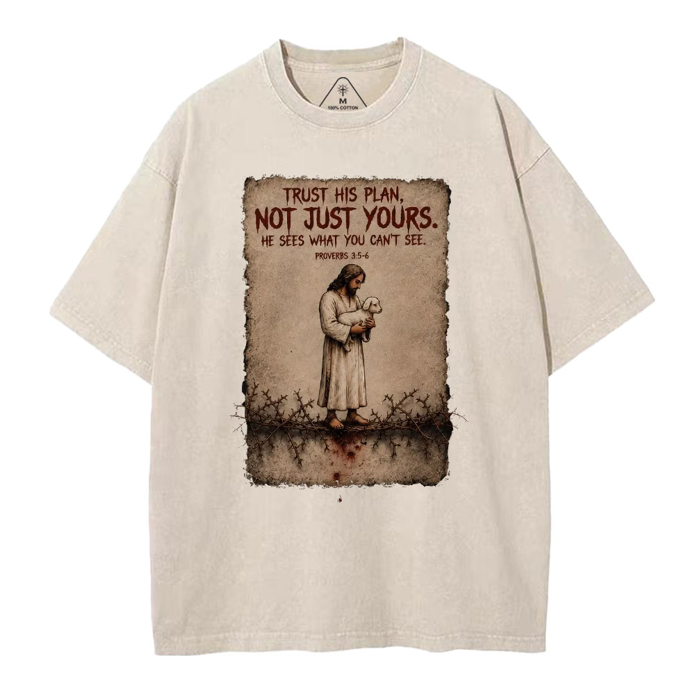 Trust His Plan Christian Washed T-Shirt