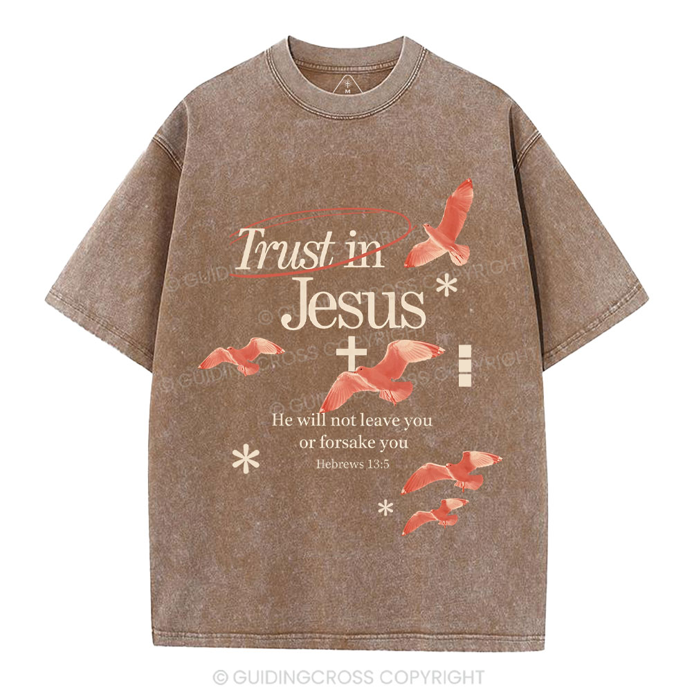 Trust In Jesus Christian Washed T-Shirt