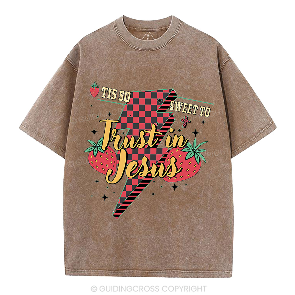 Trust In Jesus Christian Washed T-Shirt