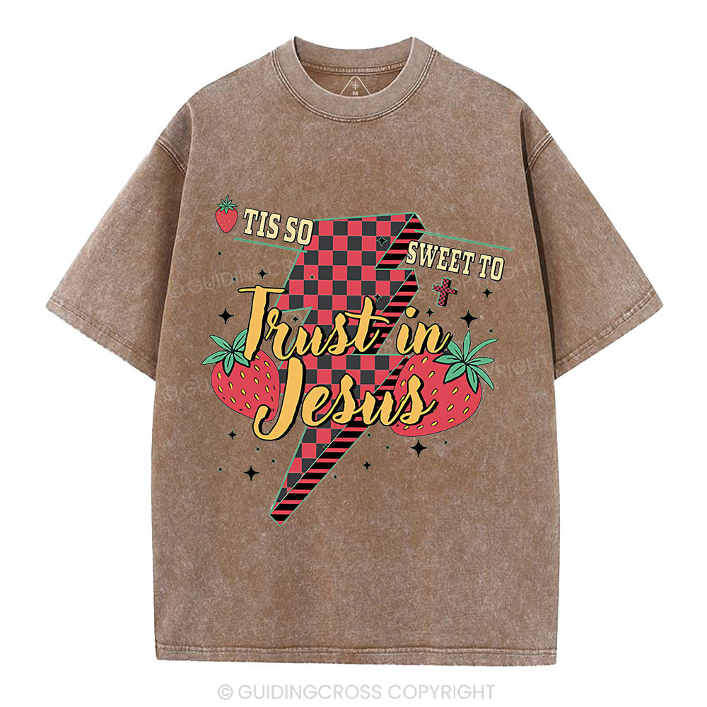 Trust In Jesus Christian Washed T-Shirt