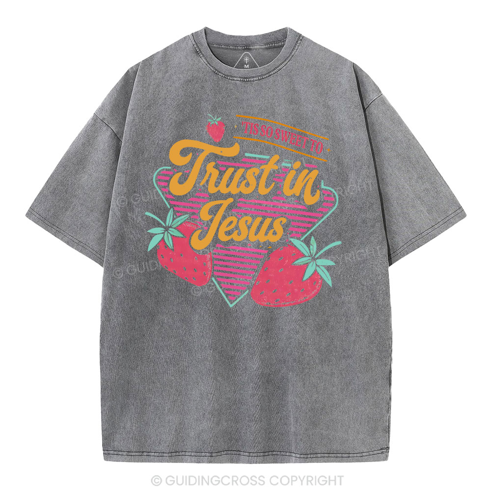 Trust In Jesus Christian Washedd T-Shirt