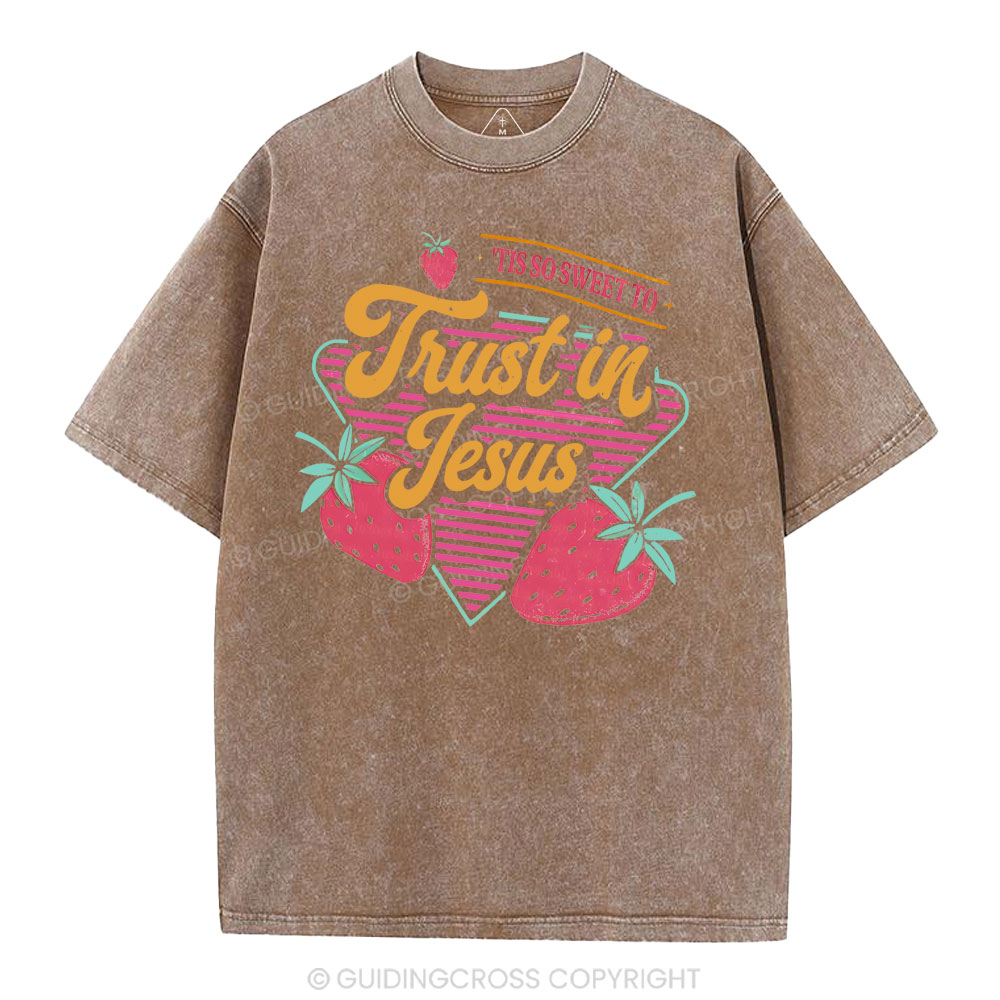 Trust In Jesus Christian Washedd T-Shirt
