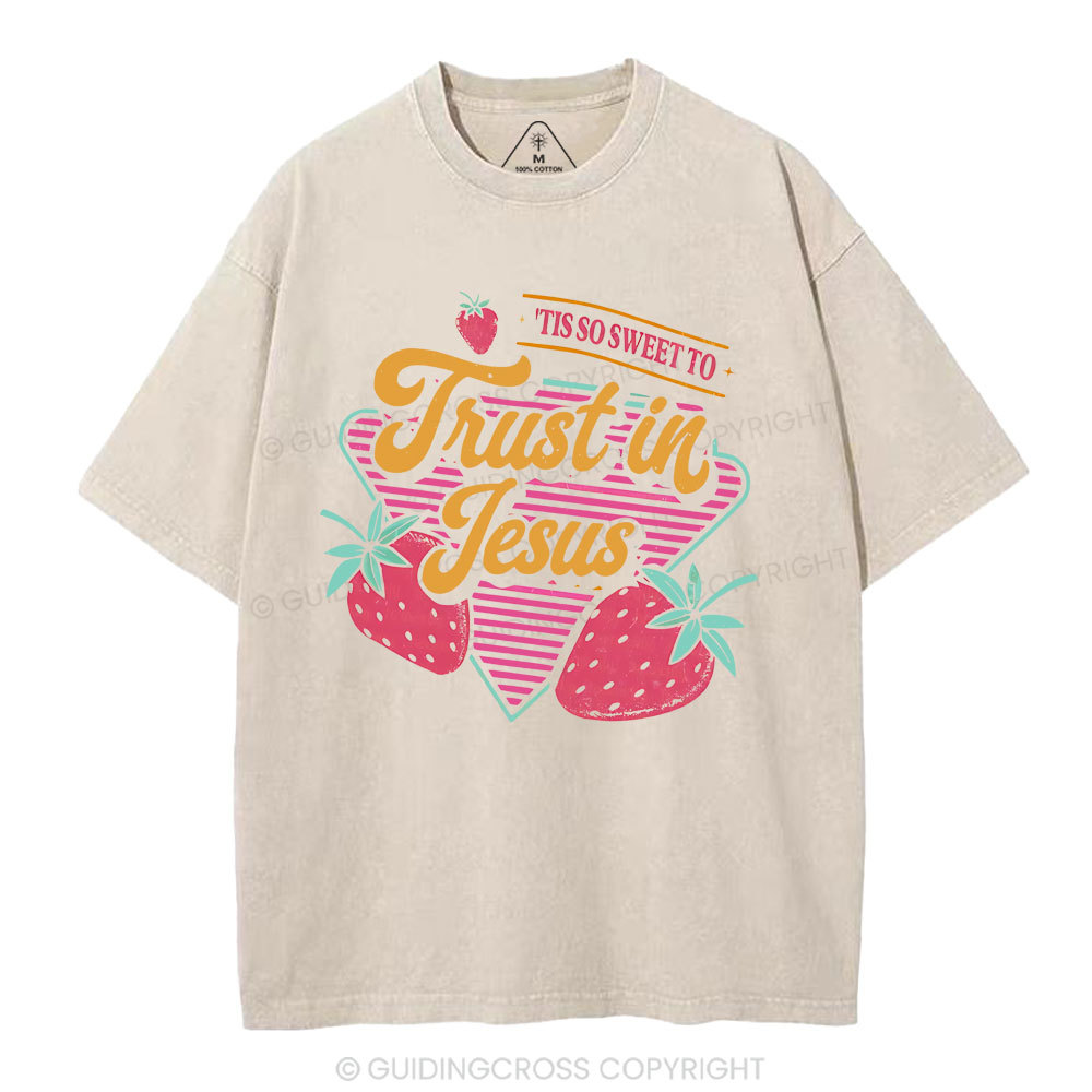 Trust In Jesus Christian Washedd T-Shirt