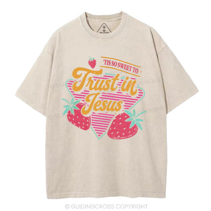 Trust In Jesus Christian Washedd T-Shirt