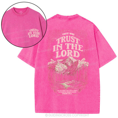 Trust In The Lord Christian Washed T-Shirt