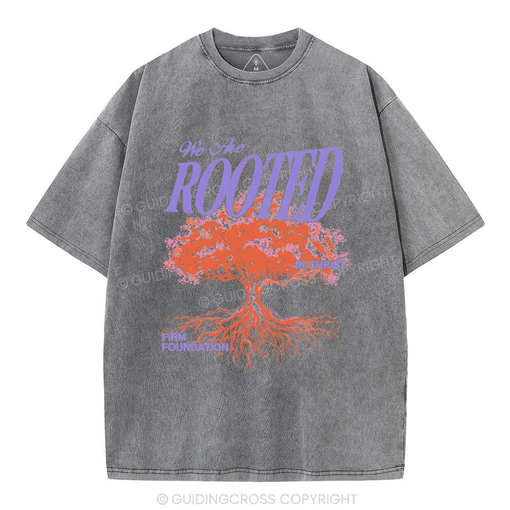 We Are Rooted In Christ Christian Washed T-Shirt