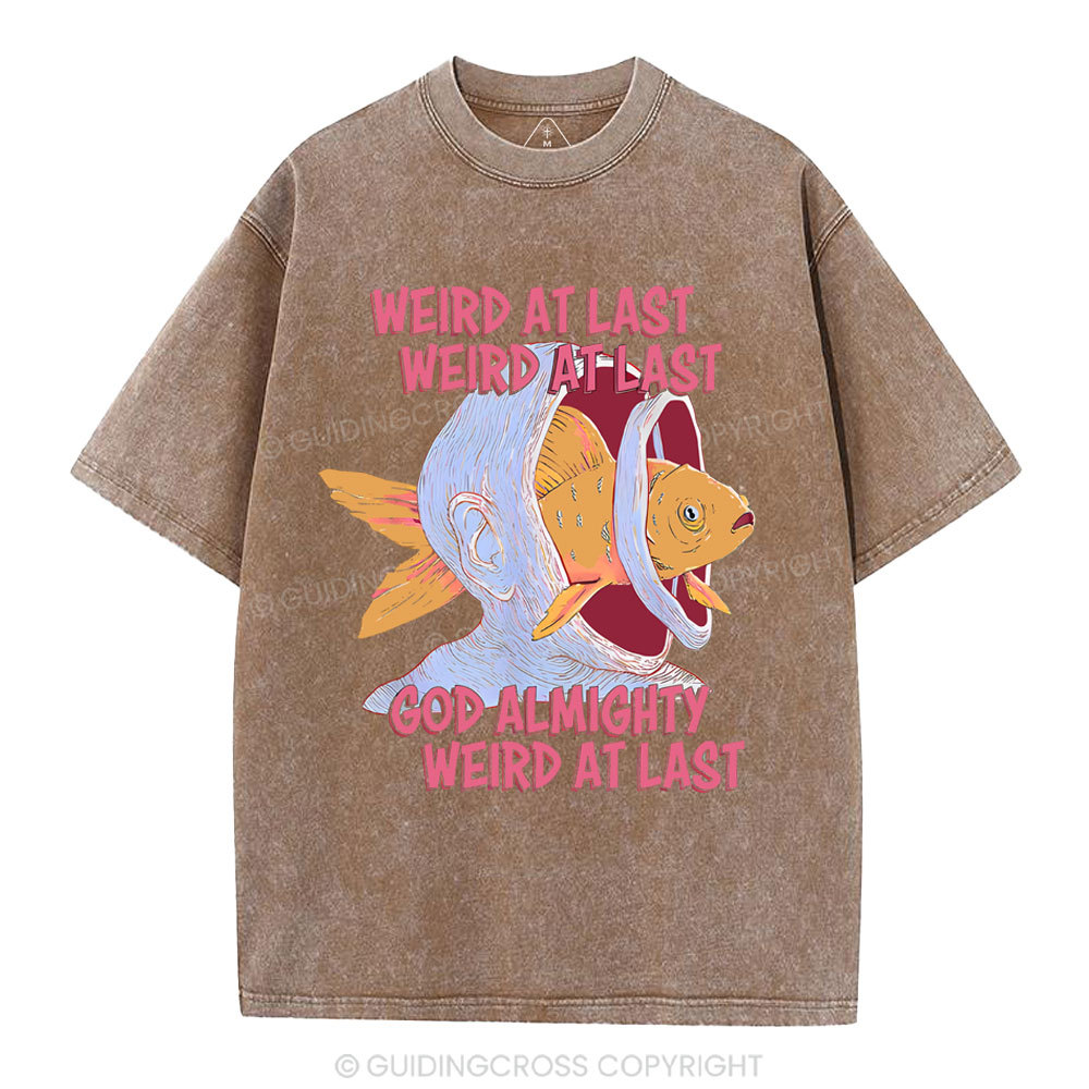 Weird At Last God Almighty Weird At Last Shirt Christian Washed T-Shirt