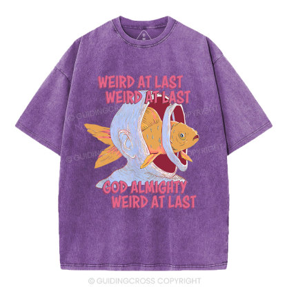 Weird At Last God Almighty Weird At Last Shirt Christian Washed T-Shirt