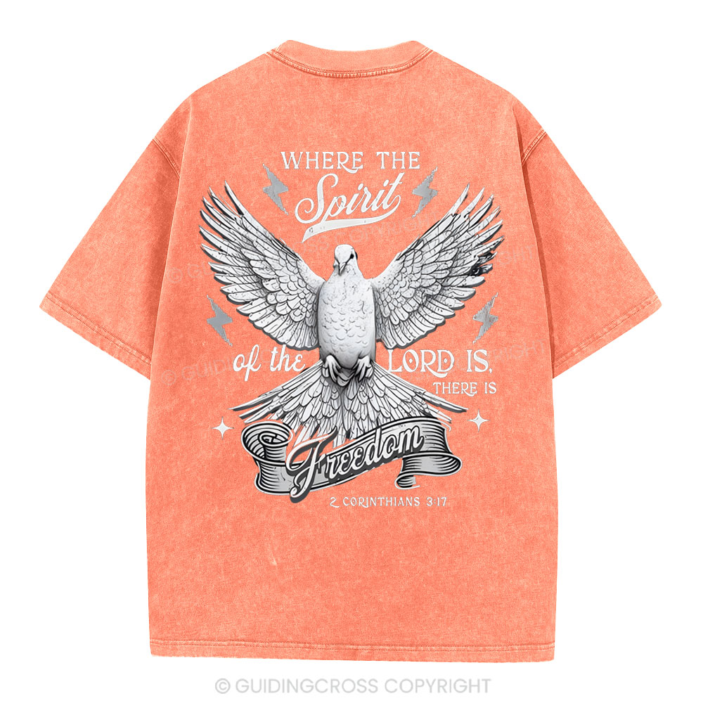 NEW-sample Christian Washed T-Shirt Sale - GuidingCross