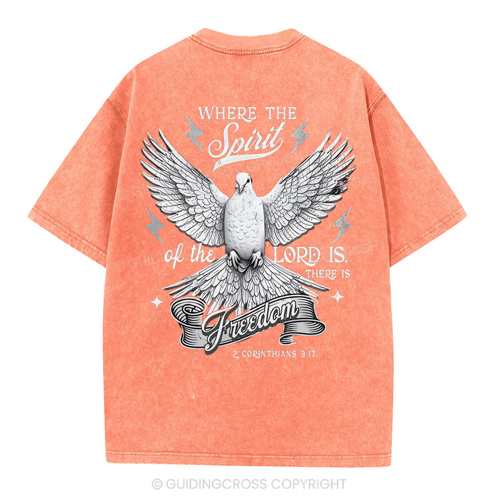 NEW-sample Christian Washed T-Shirt Sale - GuidingCross