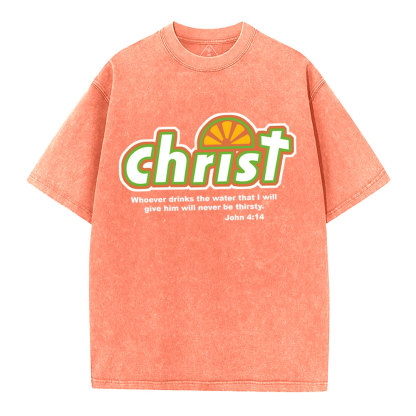 Whoever Drinks The Water Christian Washed T-Shirt