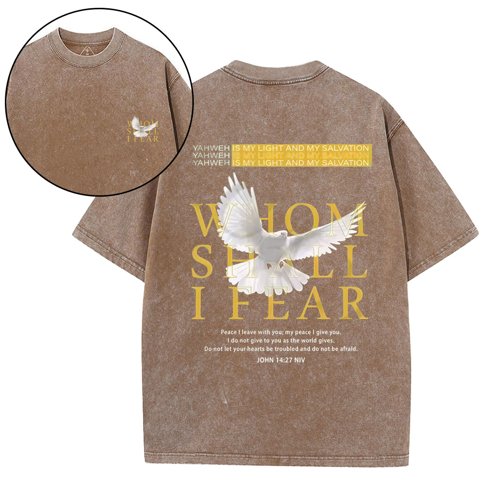 Whom Shall I Fear Christian Washed T-Shirt