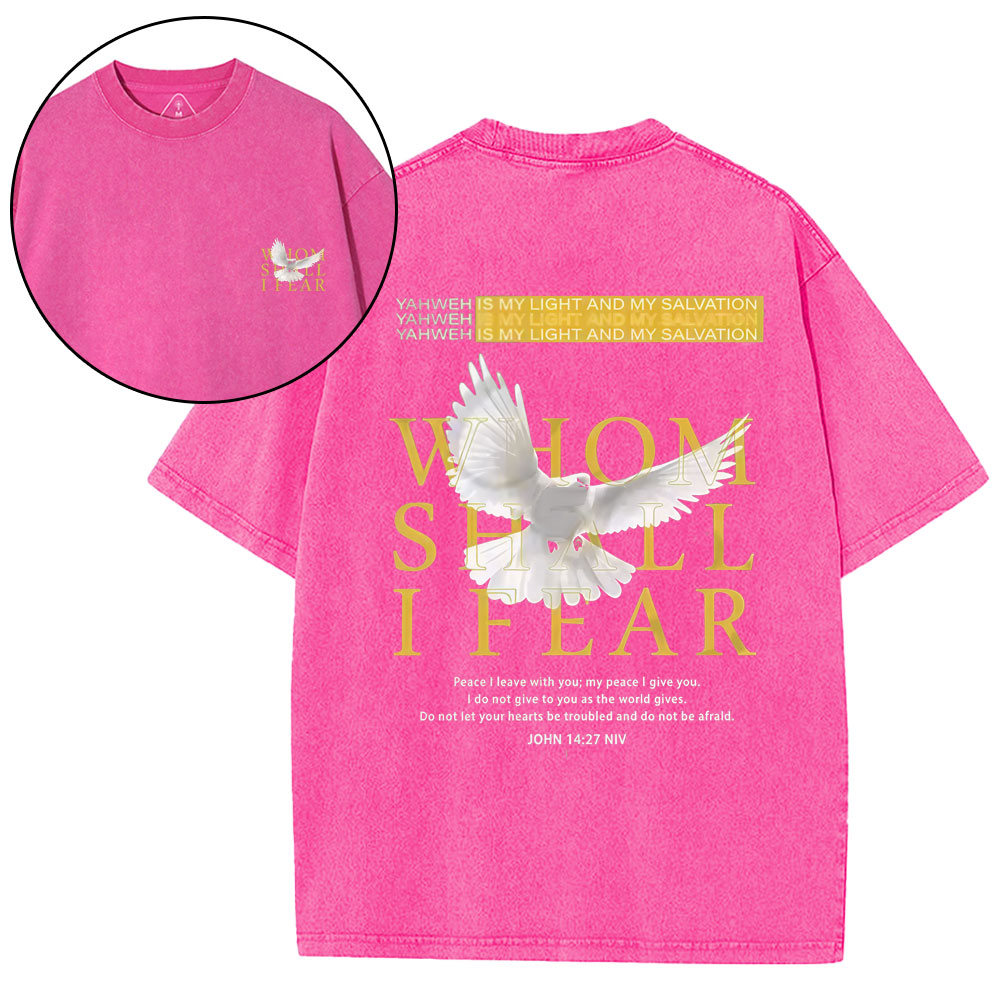 Whom Shall I Fear Christian Washed T-Shirt
