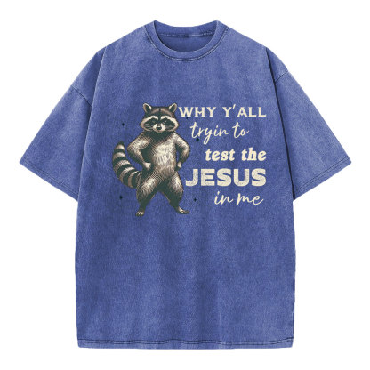 Why Y'all Trying To Test The Jesus In Me Christian Washed T-Shirt