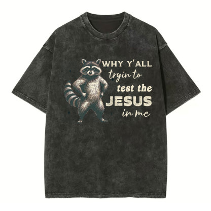 Why Y'all Trying To Test The Jesus In Me Christian Washed T-Shirt