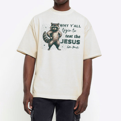 Why Y'all Trying To Test The Jesus In Me Christian Washed T-Shirt