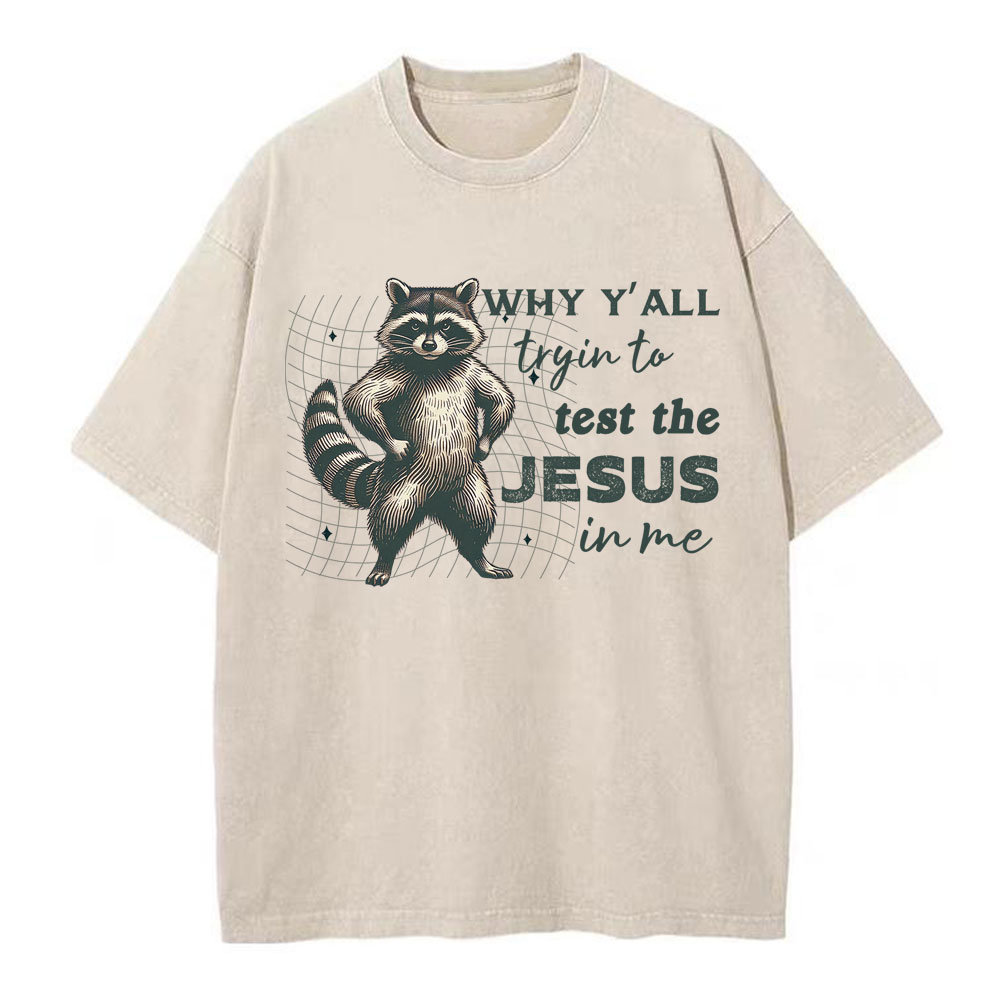 Why Y'all Trying To Test The Jesus In Me Christian Washed T-Shirt