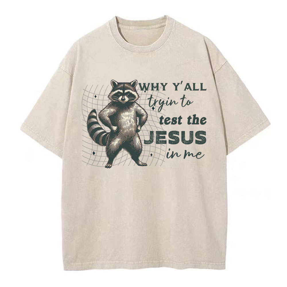 Why Y'all Trying To Test The Jesus In Me Christian Washed T-Shirt