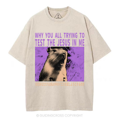 Why You All Trying To Test The Jesus In Me  Christian Washed T-Shirt