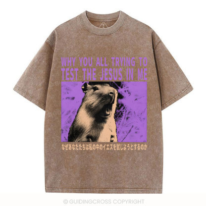 Why You All Trying To Test The Jesus In Me  Christian Washed T-Shirt