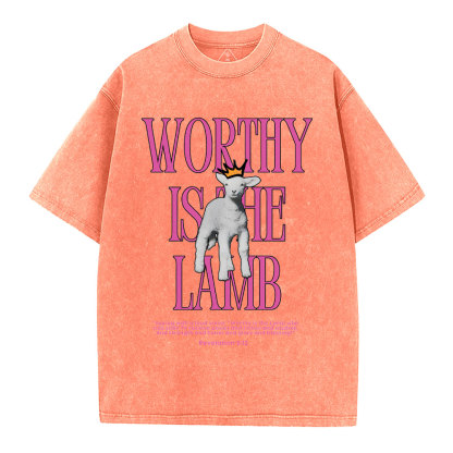 Worthy Is The Lamb Washed T-Shirt-ZP