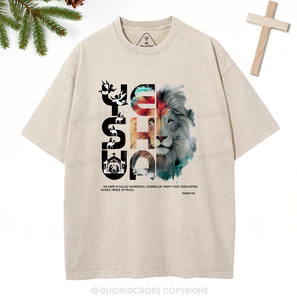Sample Washed T-Shirt Sale - GuidingCross