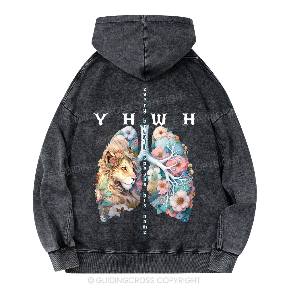 YHWH Lion Christian Washed Hoodie 