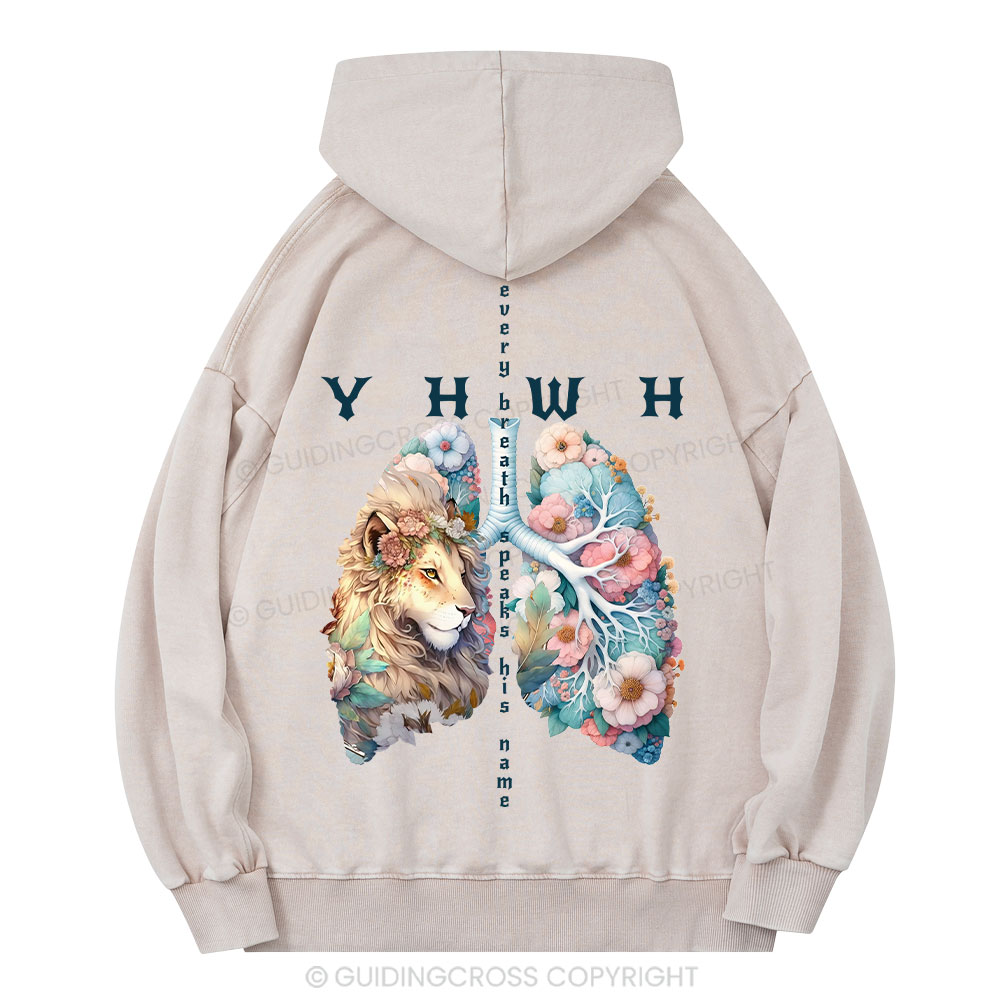 YHWH Lion Christian Washed Hoodie 