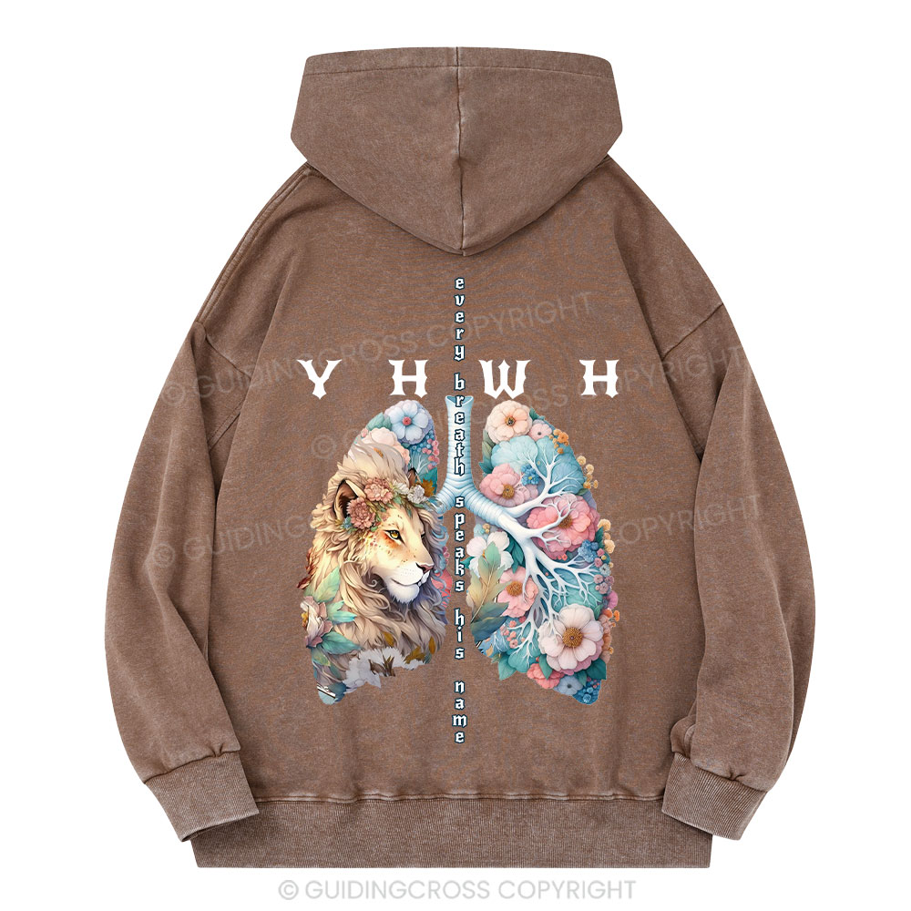 YHWH Lion Christian Washed Hoodie 