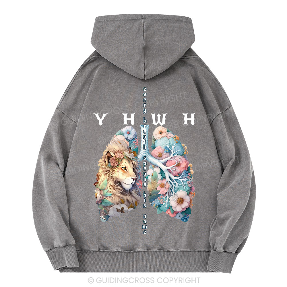 YHWH Lion Christian Washed Hoodie 