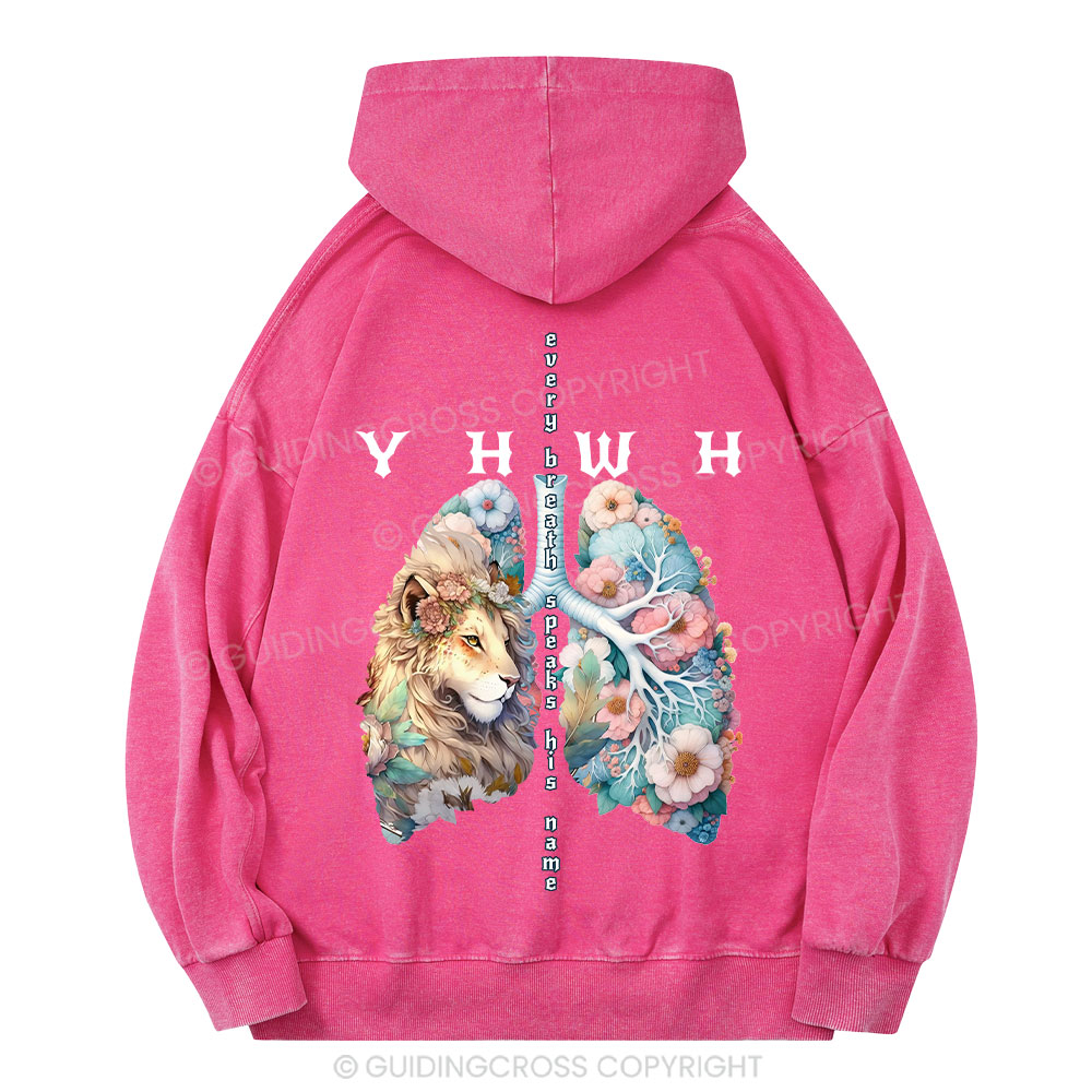 YHWH Lion Christian Washed Hoodie 