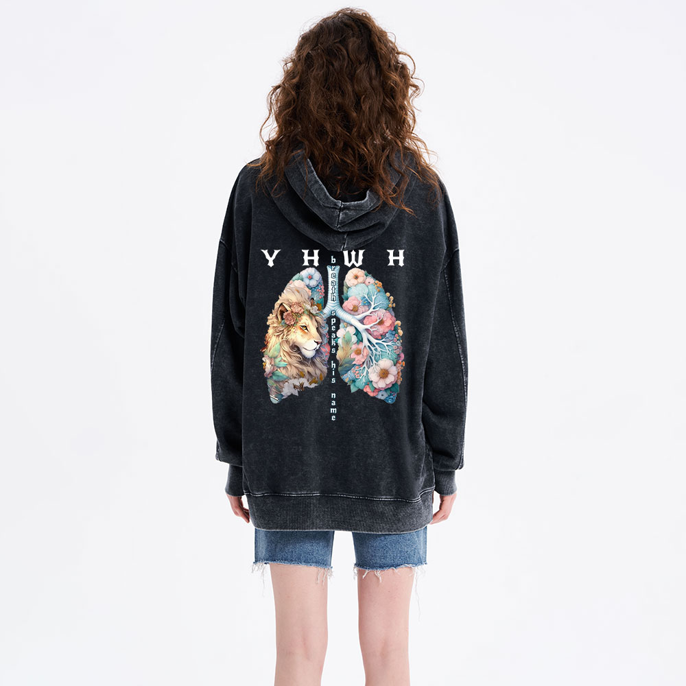 YHWH Lion Christian Washed Hoodie 