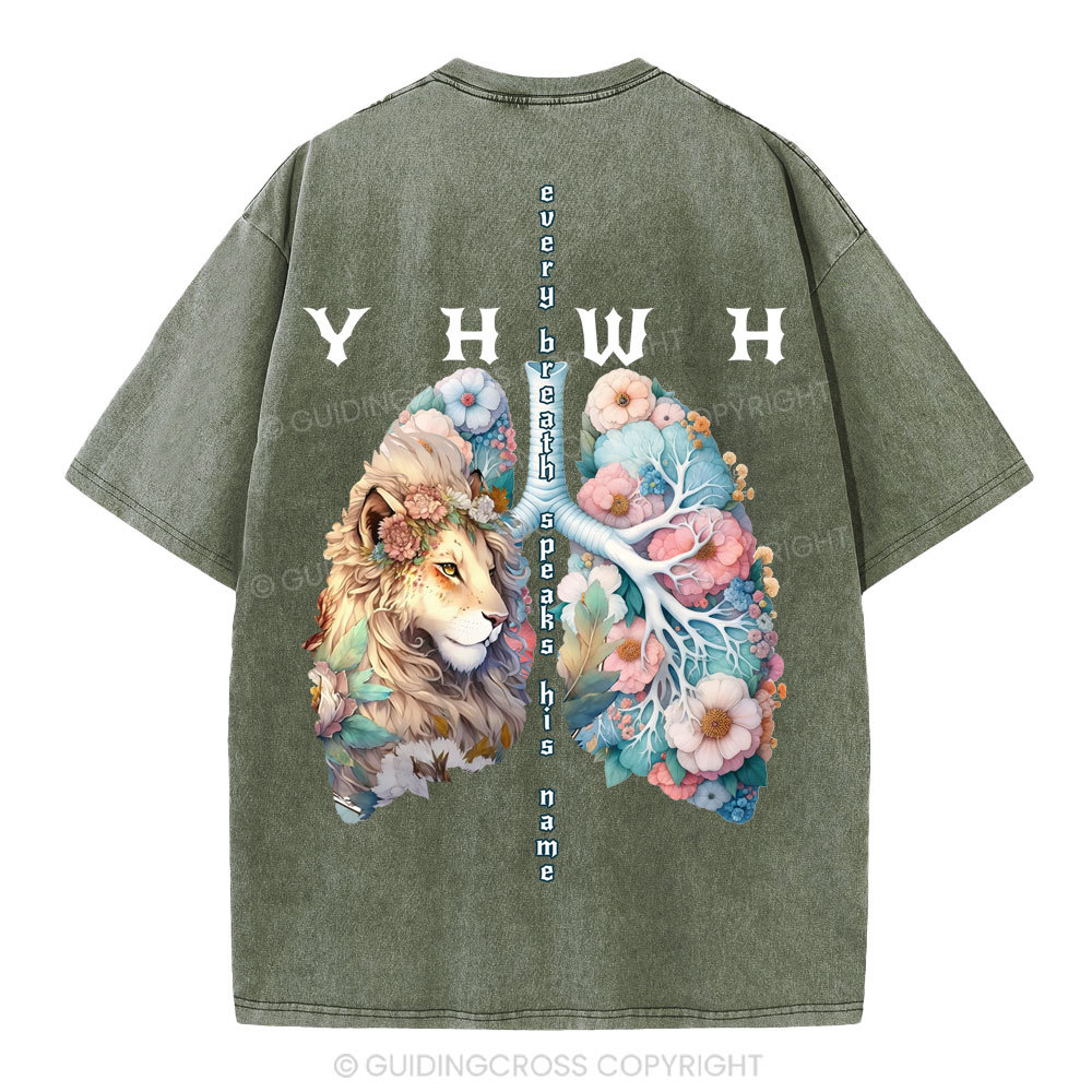 YHWH Lion Christian Washed T-Shirt