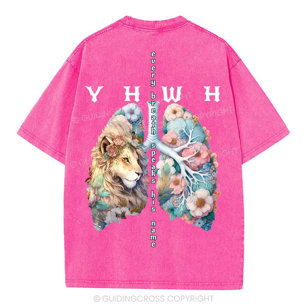 YHWH Lion Christian Washed T-Shirt