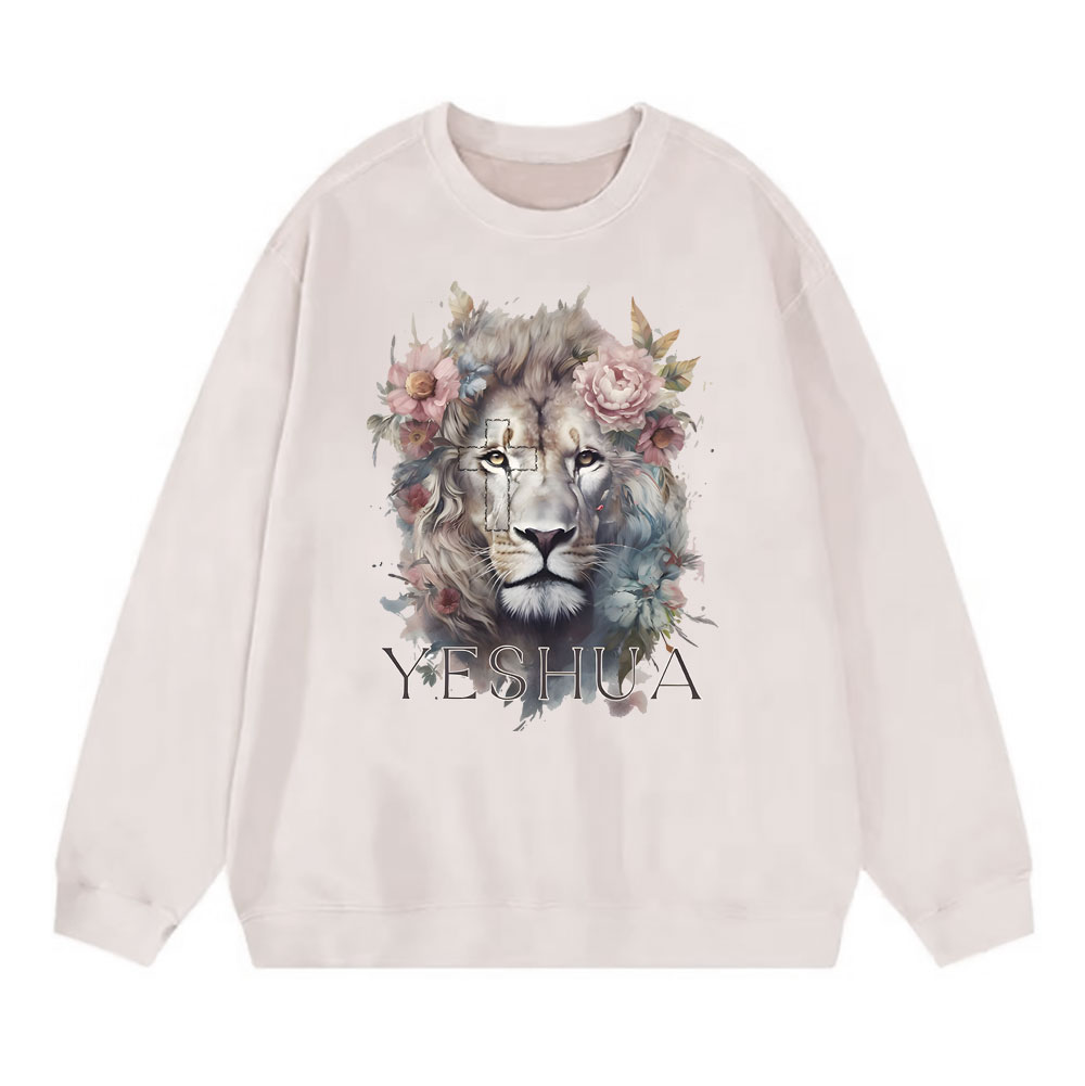 Sample Washed Sweatshirt  水洗圆领卫衣 Sale - GuidingCross