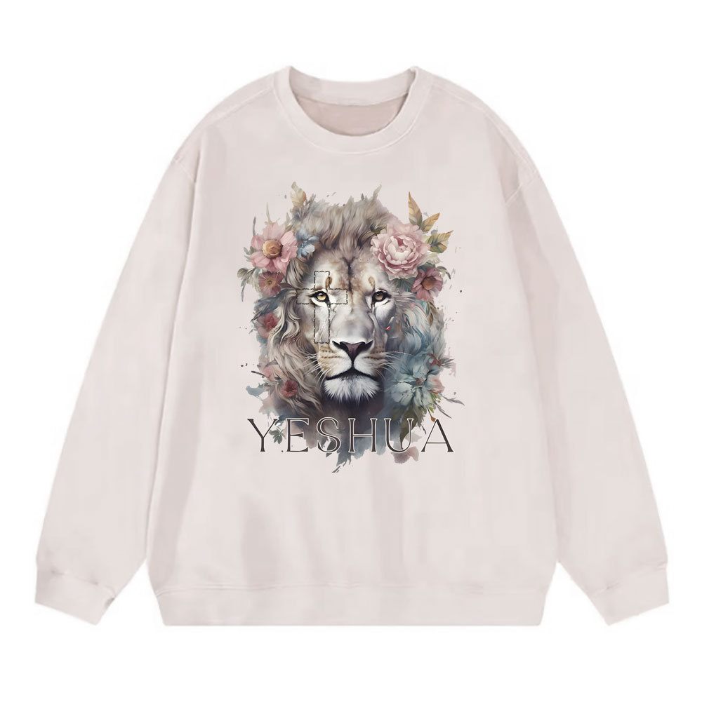 Sample Washed Sweatshirt  水洗圆领卫衣 Sale - GuidingCross