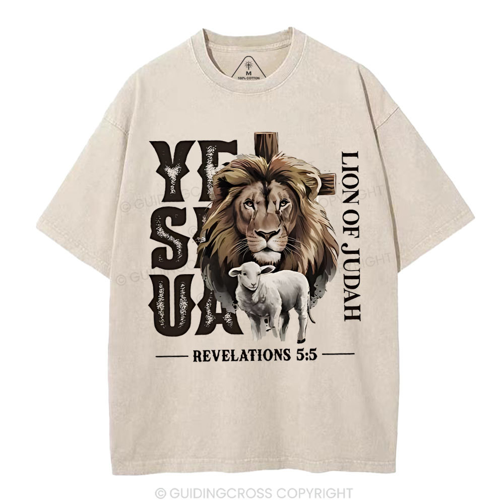 New-Sample Christian Washed T-Shirt Sale - GuidingCross