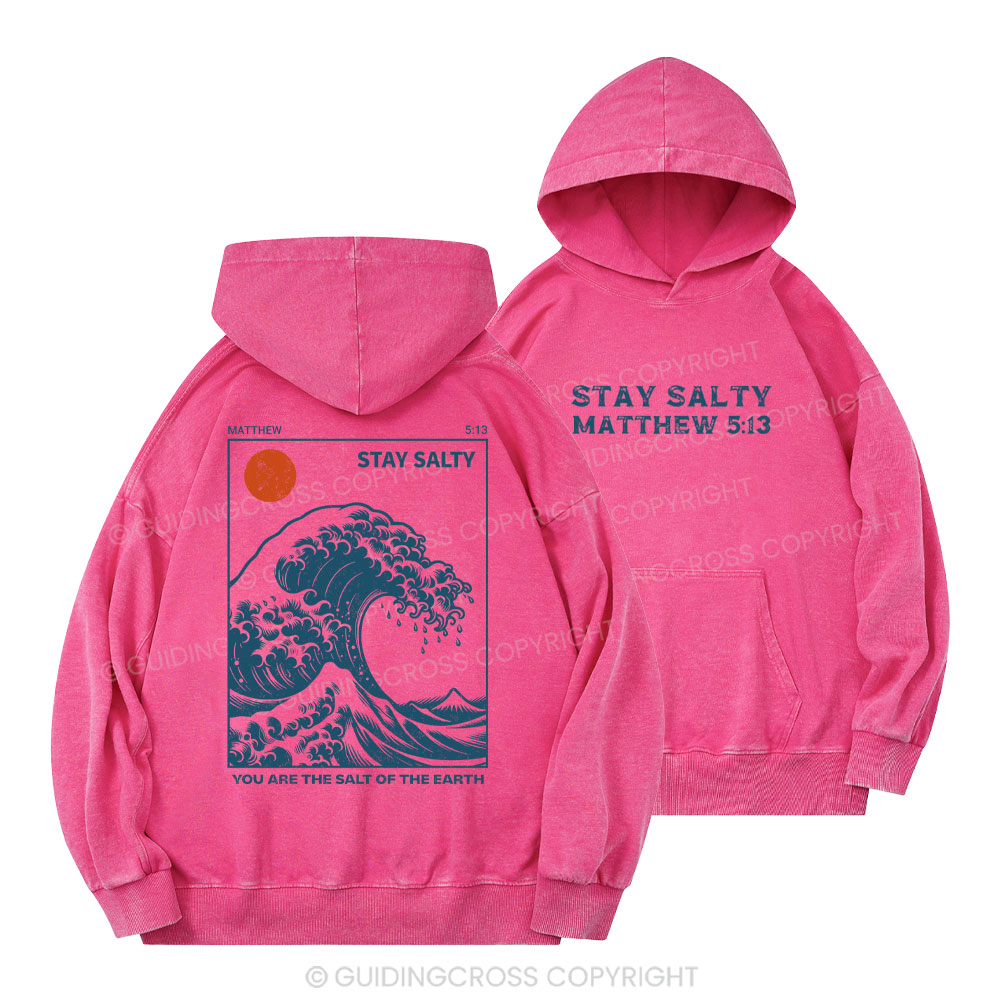 You Are The Salt Of The Earth Christian Washed Hoodie