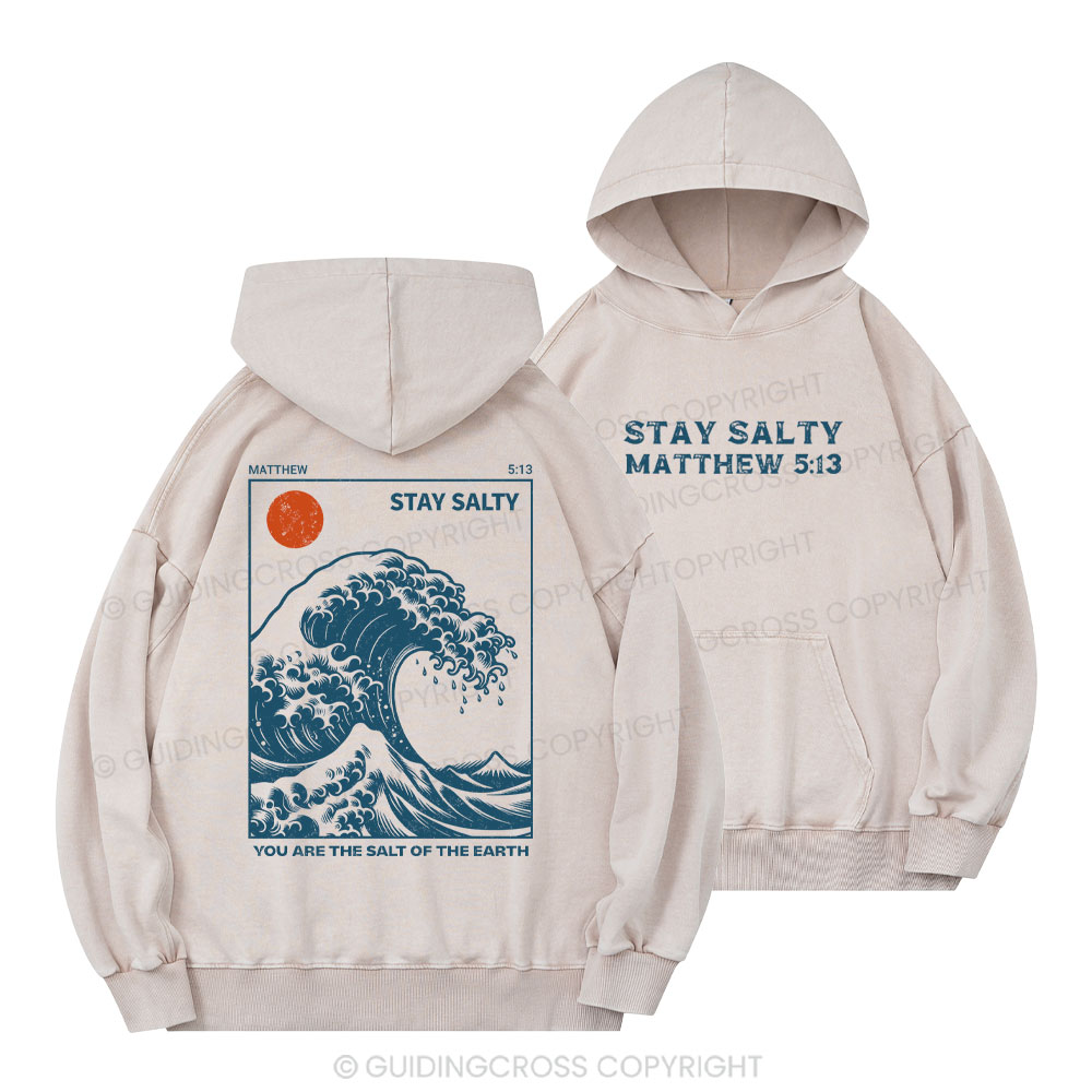 You Are The Salt Of The Earth Christian Washed Hoodie